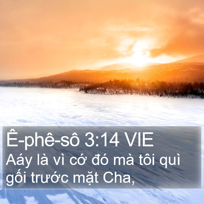 Ê-phê-sô 3:14 VIE Bible Study