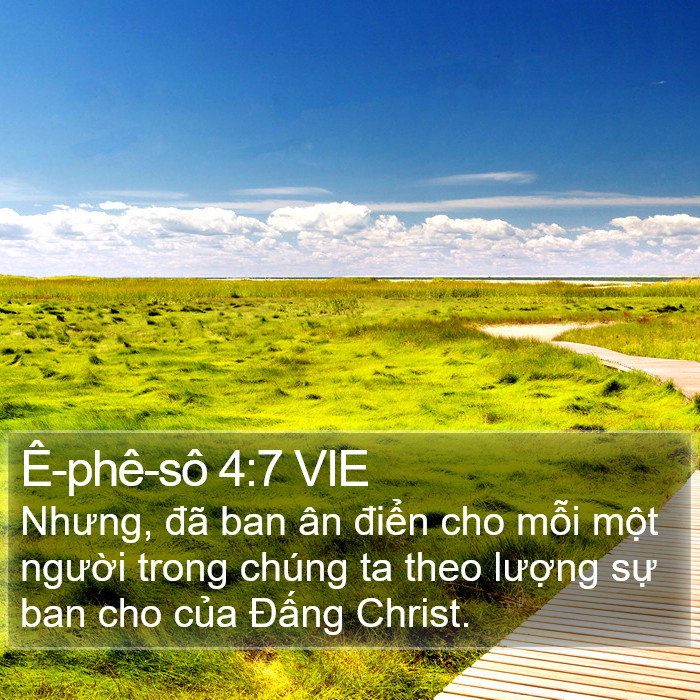 Ê-phê-sô 4:7 VIE Bible Study