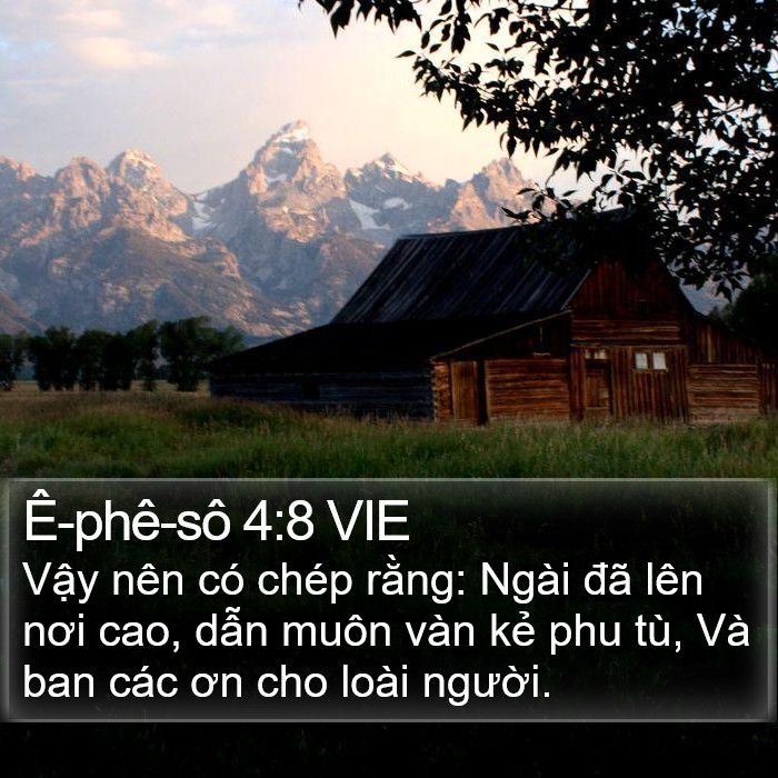 Ê-phê-sô 4:8 VIE Bible Study