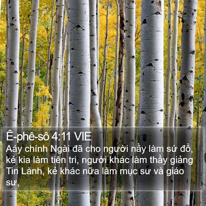 Ê-phê-sô 4:11 VIE Bible Study