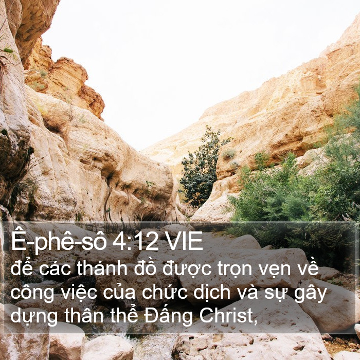 Ê-phê-sô 4:12 VIE Bible Study