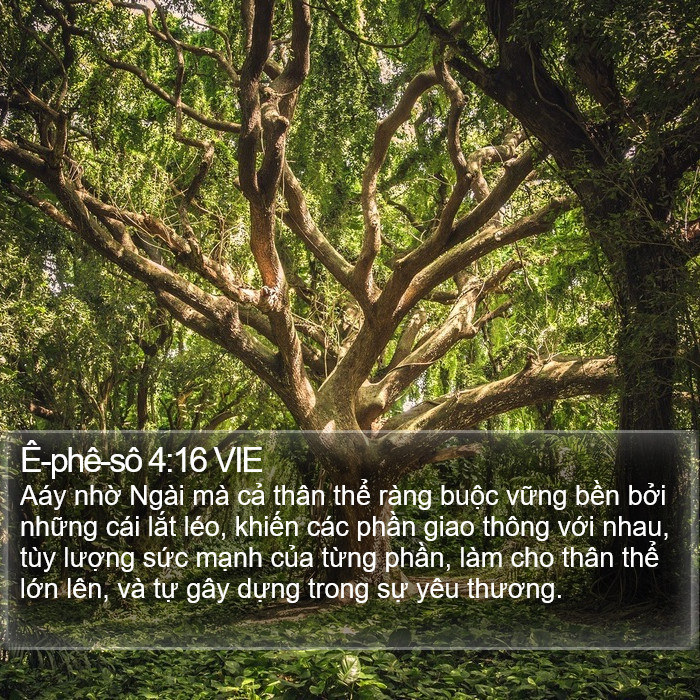 Ê-phê-sô 4:16 VIE Bible Study