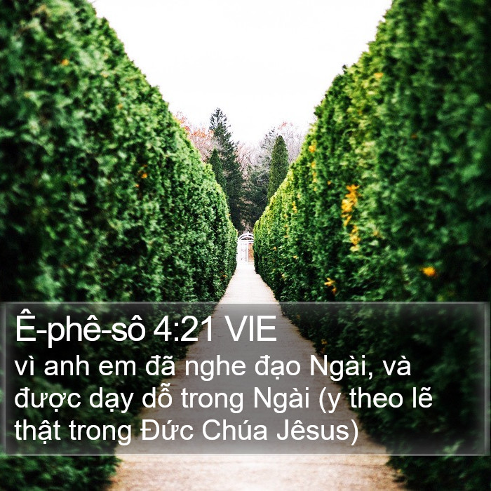 Ê-phê-sô 4:21 VIE Bible Study