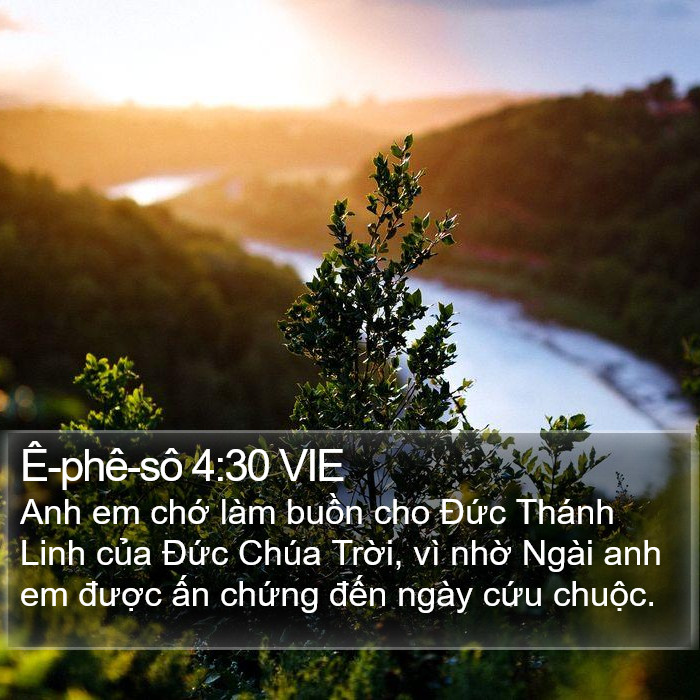 Ê-phê-sô 4:30 VIE Bible Study