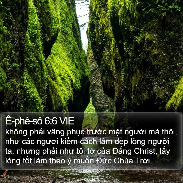 Ê-phê-sô 6:6 VIE Bible Study