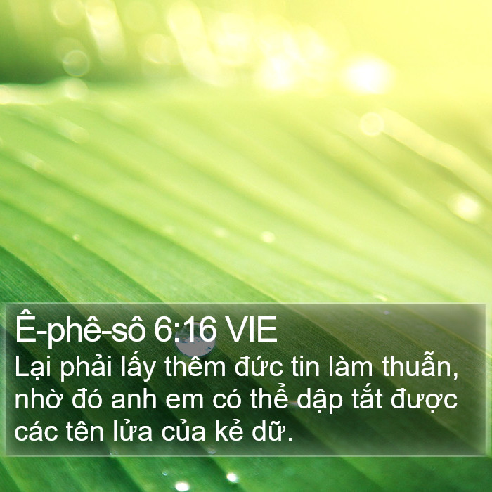 Ê-phê-sô 6:16 VIE Bible Study