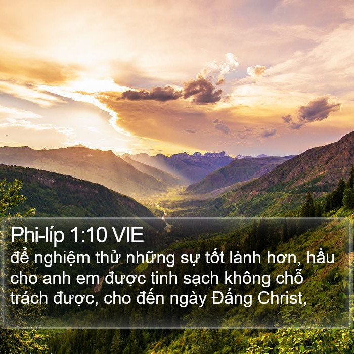 Phi-líp 1:10 VIE Bible Study