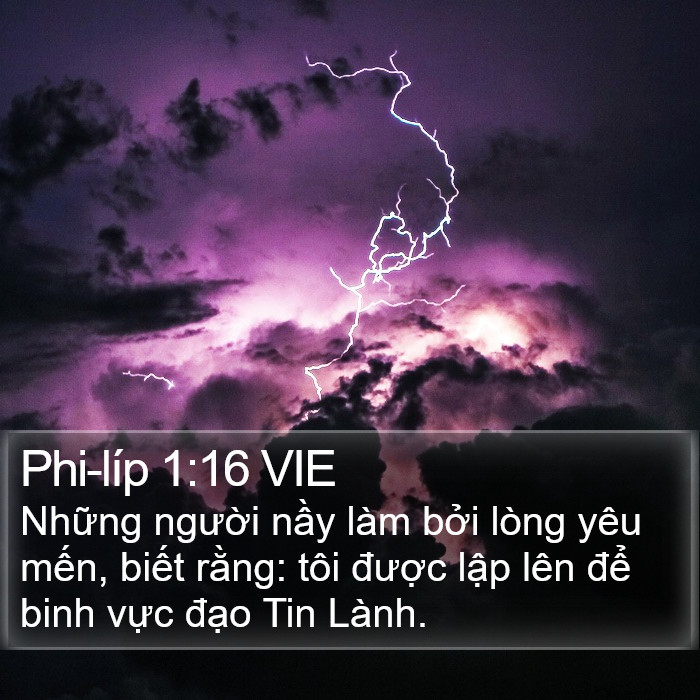 Phi-líp 1:16 VIE Bible Study