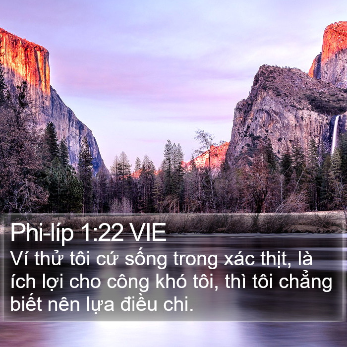 Phi-líp 1:22 VIE Bible Study