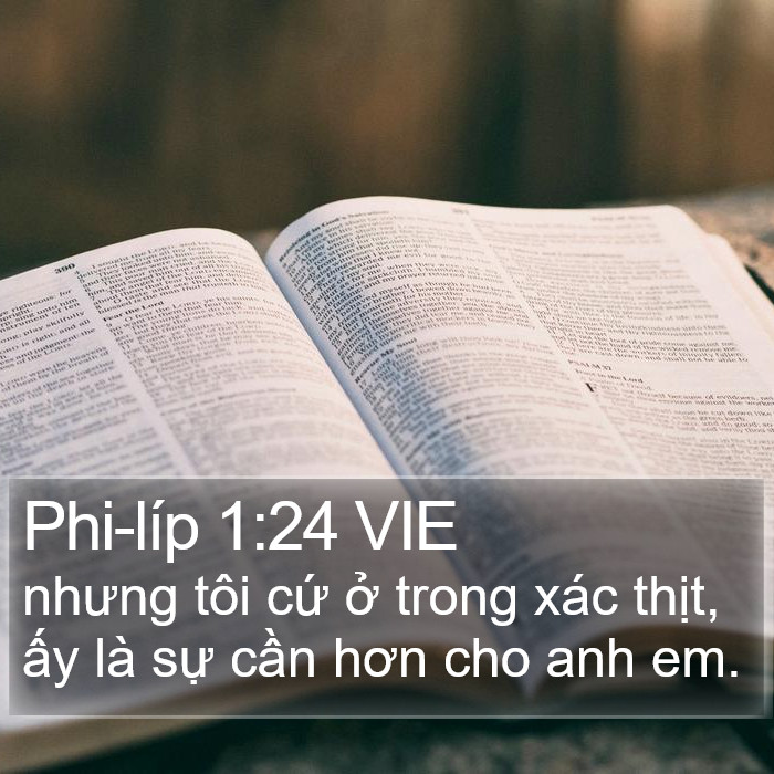 Phi-líp 1:24 VIE Bible Study