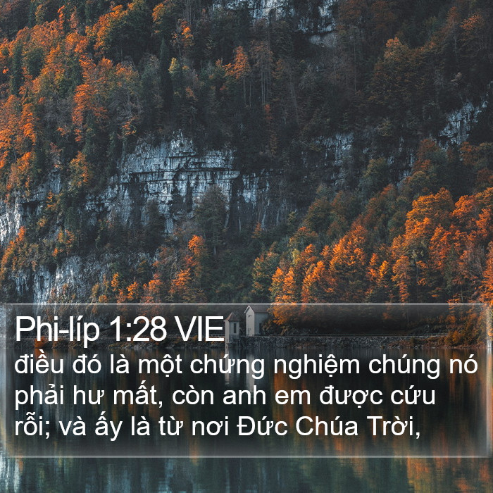 Phi-líp 1:28 VIE Bible Study