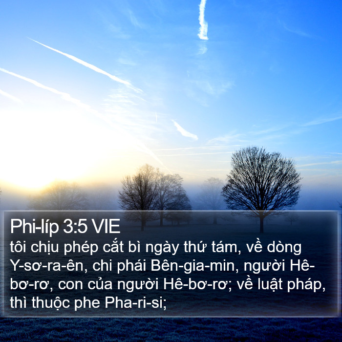 Phi-líp 3:5 VIE Bible Study