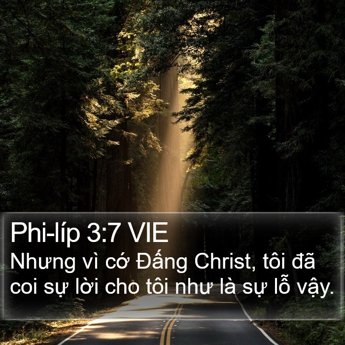 Phi-líp 3:7 VIE Bible Study