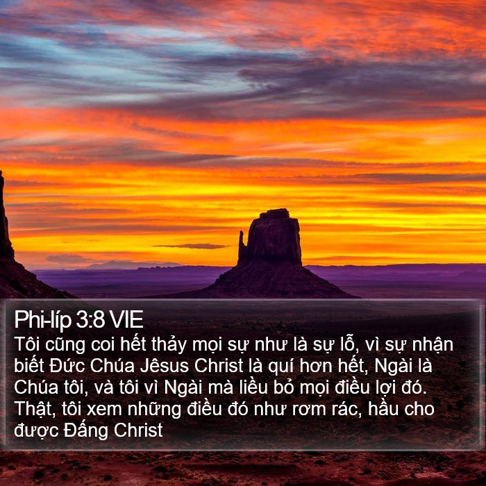 Phi-líp 3:8 VIE Bible Study