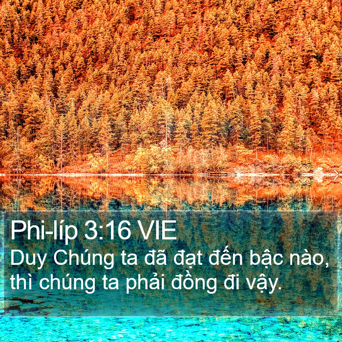 Phi-líp 3:16 VIE Bible Study