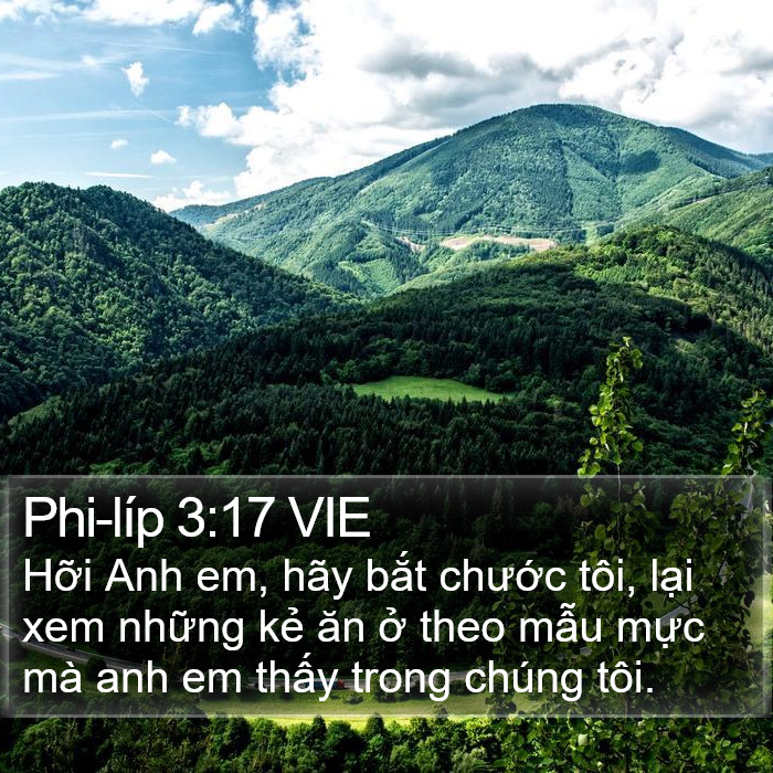 Phi-líp 3:17 VIE Bible Study