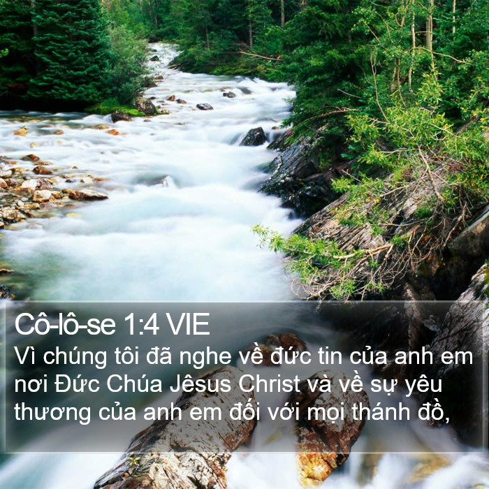 Cô-lô-se 1:4 VIE Bible Study