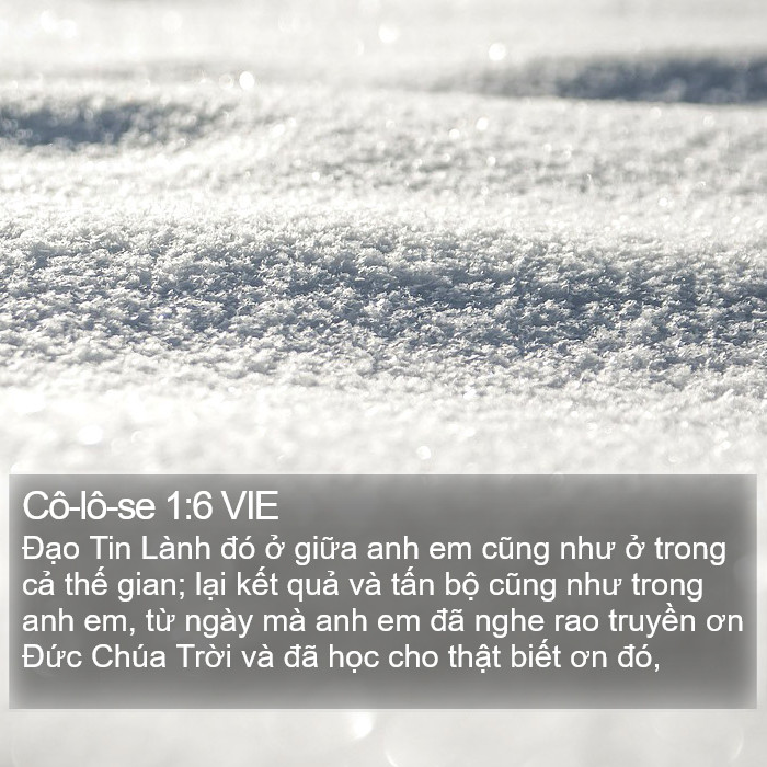 Cô-lô-se 1:6 VIE Bible Study