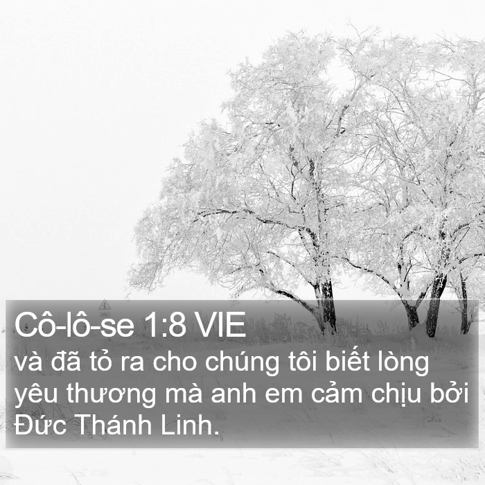 Cô-lô-se 1:8 VIE Bible Study