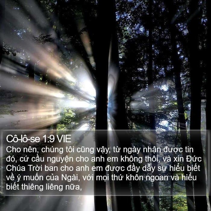 Cô-lô-se 1:9 VIE Bible Study