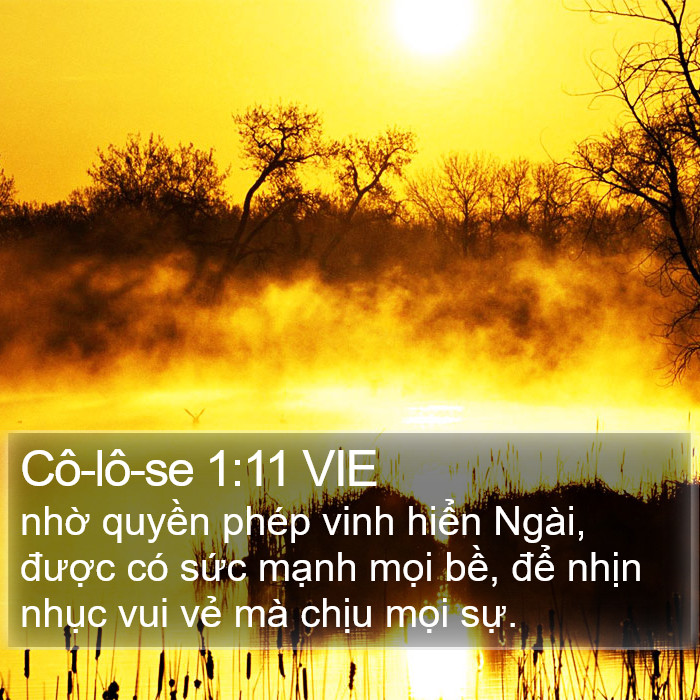 Cô-lô-se 1:11 VIE Bible Study