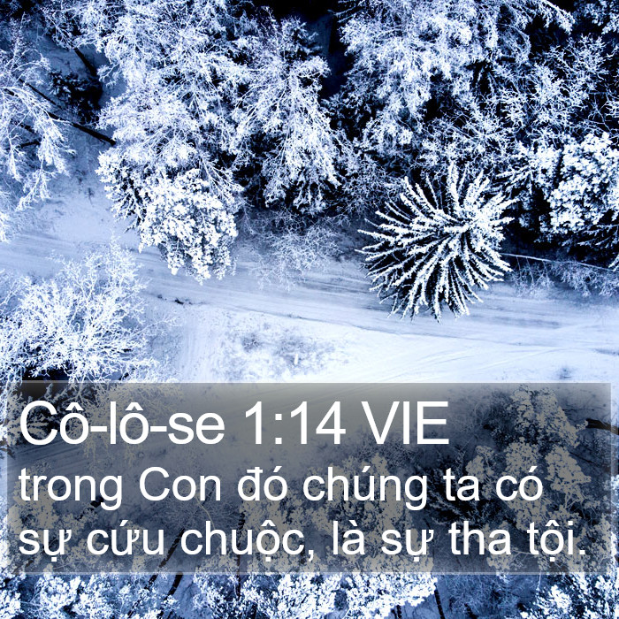 Cô-lô-se 1:14 VIE Bible Study