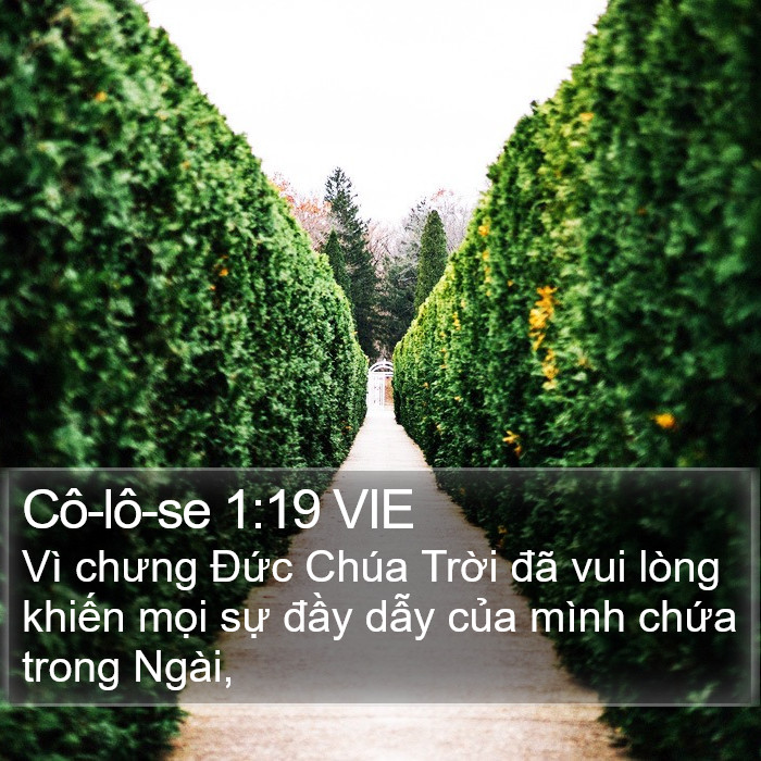 Cô-lô-se 1:19 VIE Bible Study