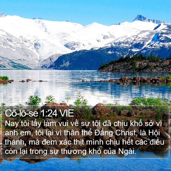 Cô-lô-se 1:24 VIE Bible Study