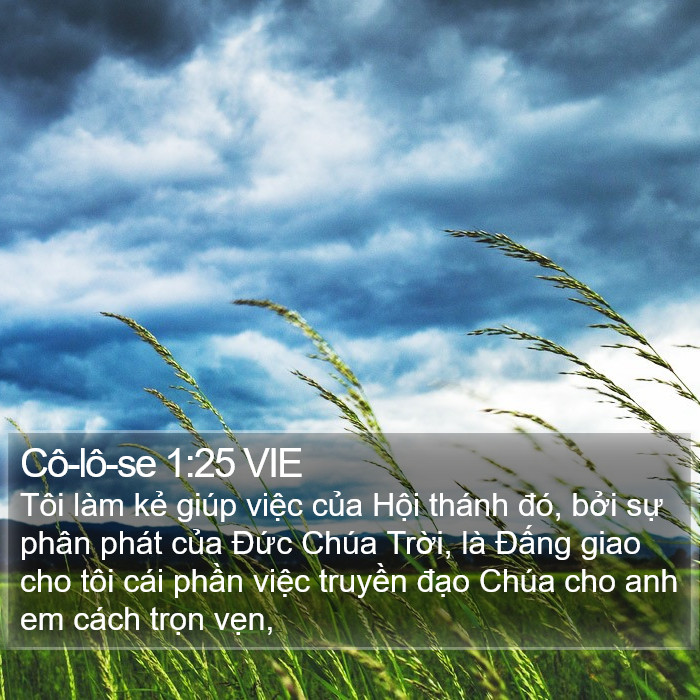 Cô-lô-se 1:25 VIE Bible Study