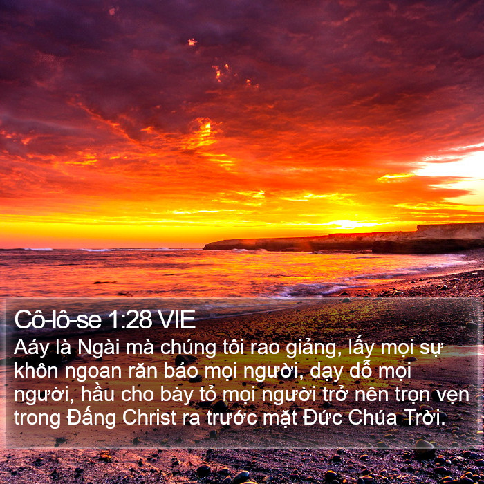 Cô-lô-se 1:28 VIE Bible Study