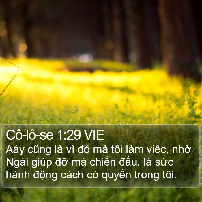 Cô-lô-se 1:29 VIE Bible Study