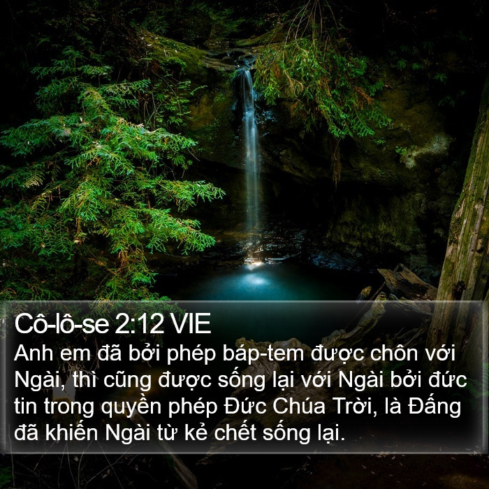 Cô-lô-se 2:12 VIE Bible Study