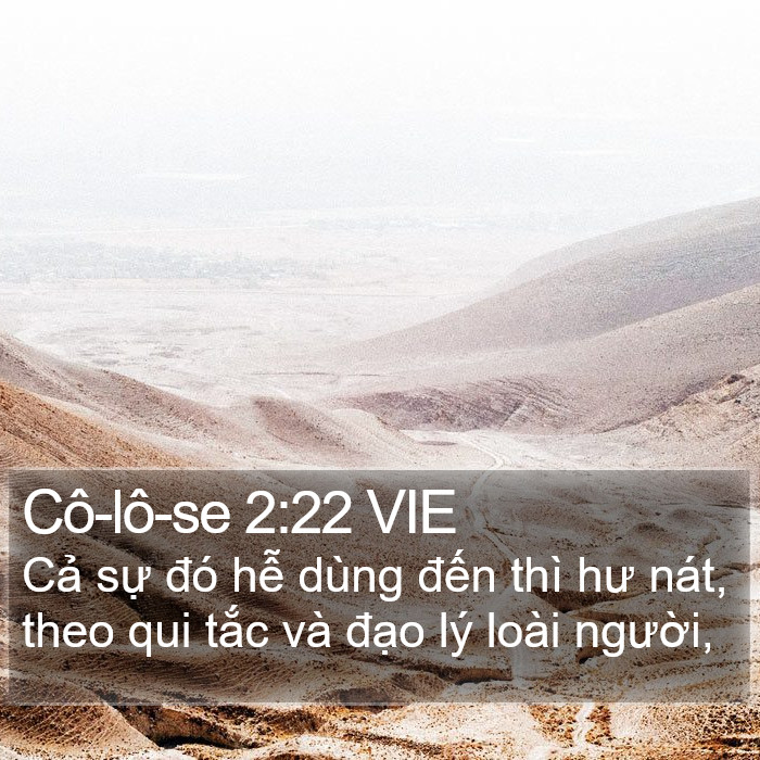 Cô-lô-se 2:22 VIE Bible Study