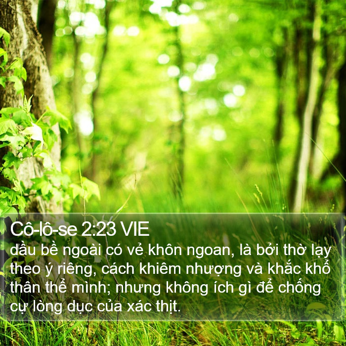 Cô-lô-se 2:23 VIE Bible Study