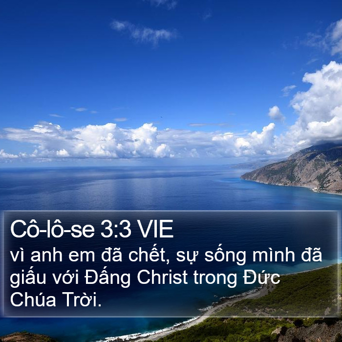Cô-lô-se 3:3 VIE Bible Study