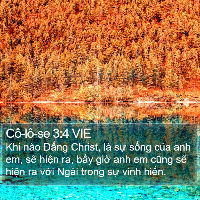 Cô-lô-se 3:4 VIE Bible Study