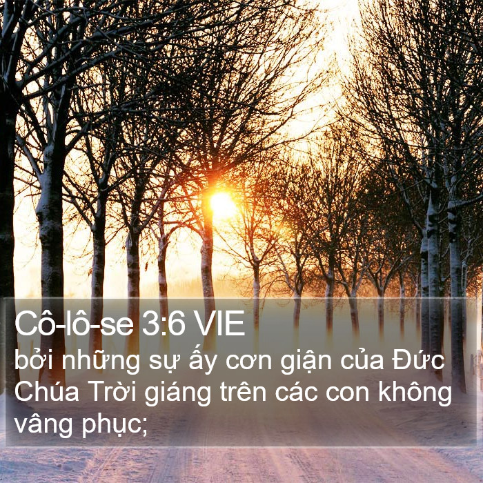 Cô-lô-se 3:6 VIE Bible Study