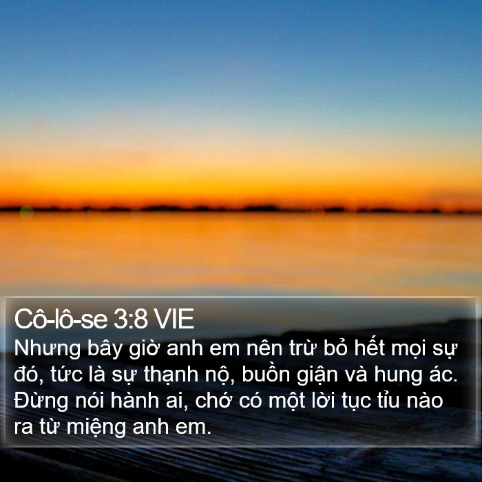 Cô-lô-se 3:8 VIE Bible Study