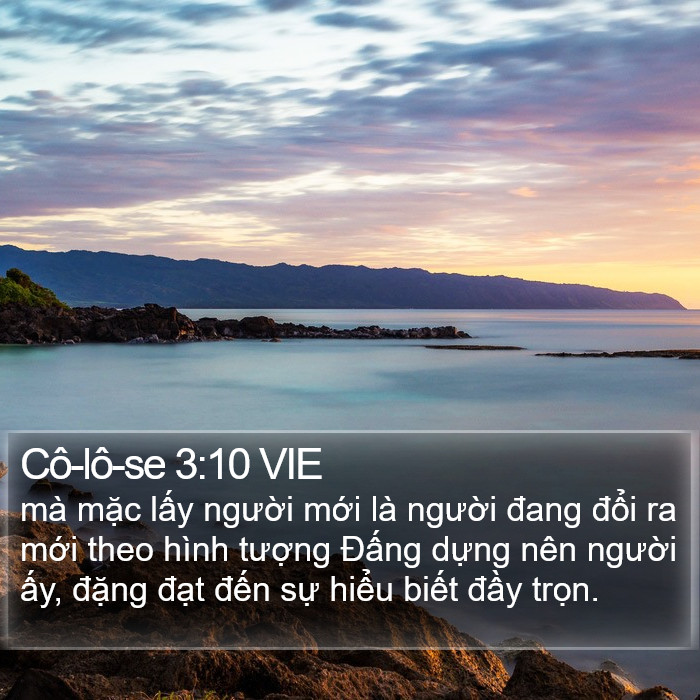 Cô-lô-se 3:10 VIE Bible Study