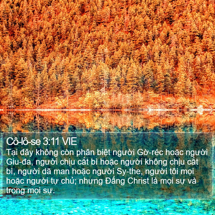 Cô-lô-se 3:11 VIE Bible Study