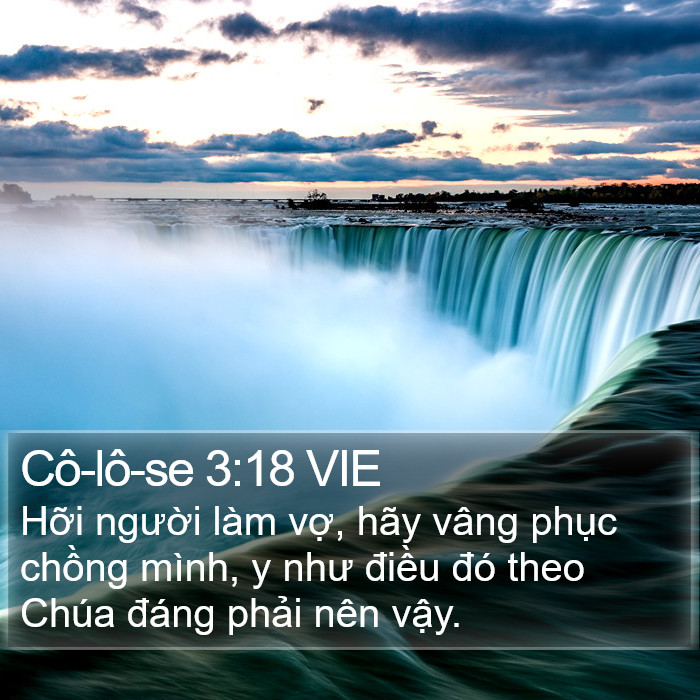 Cô-lô-se 3:18 VIE Bible Study