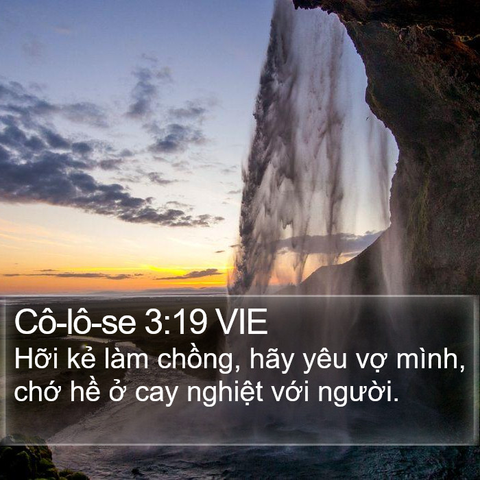 Cô-lô-se 3:19 VIE Bible Study