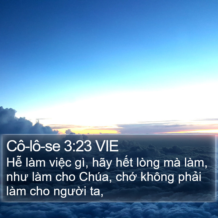 Cô-lô-se 3:23 VIE Bible Study