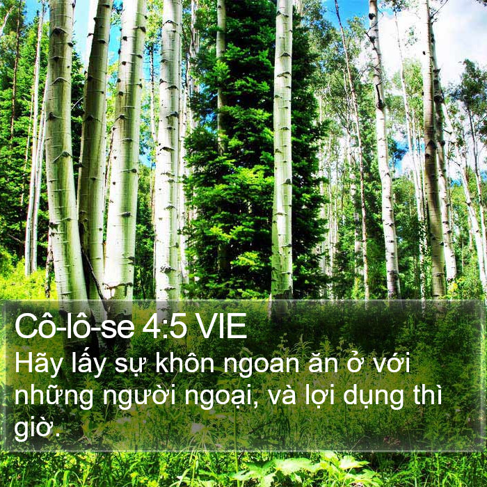 Cô-lô-se 4:5 VIE Bible Study