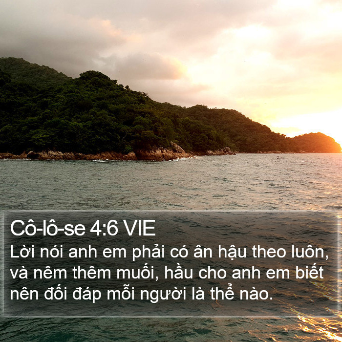 Cô-lô-se 4:6 VIE Bible Study