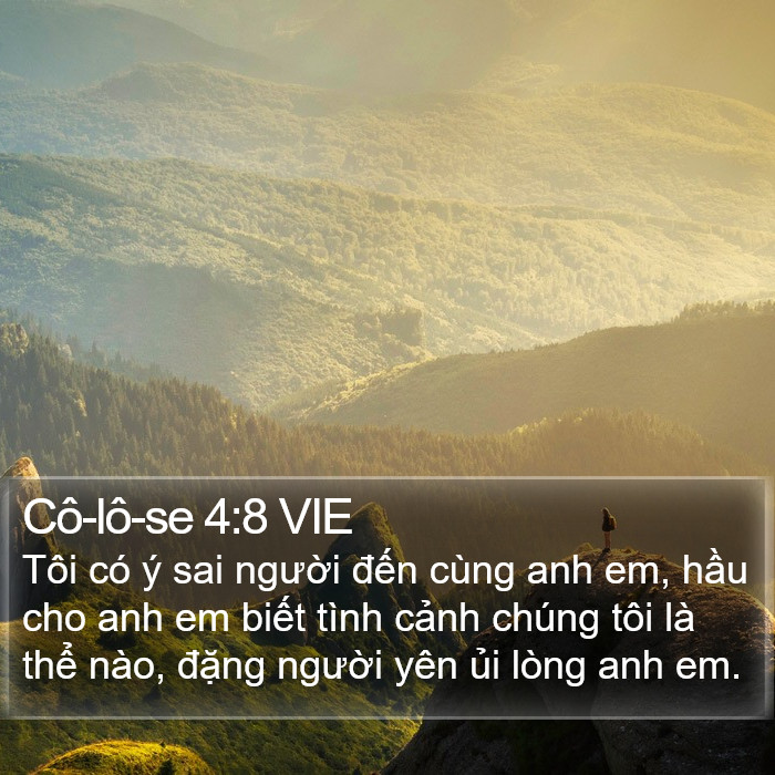 Cô-lô-se 4:8 VIE Bible Study