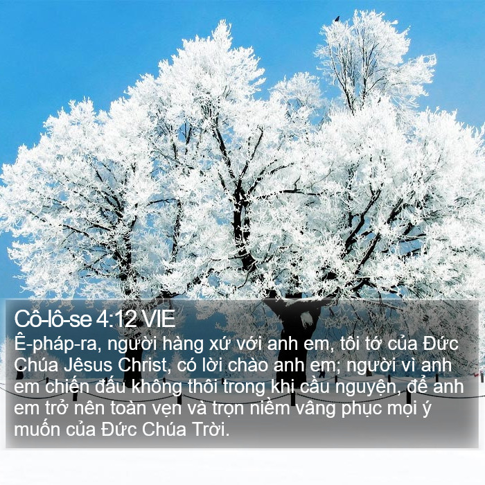 Cô-lô-se 4:12 VIE Bible Study