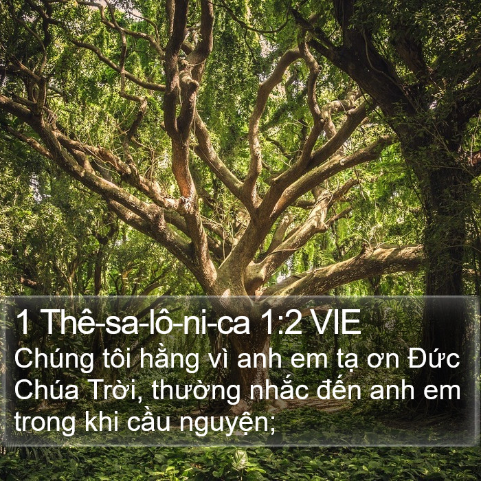 1 Thê-sa-lô-ni-ca 1:2 VIE Bible Study