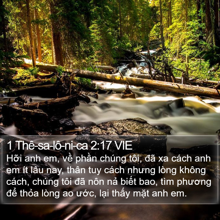 1 Thê-sa-lô-ni-ca 2:17 VIE Bible Study