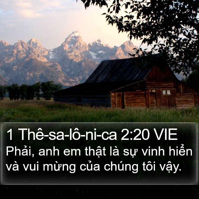 1 Thê-sa-lô-ni-ca 2:20 VIE Bible Study